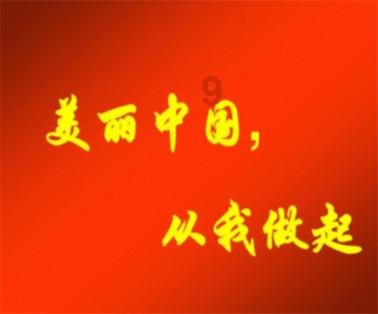 逃离金刚鹦鹉森林
